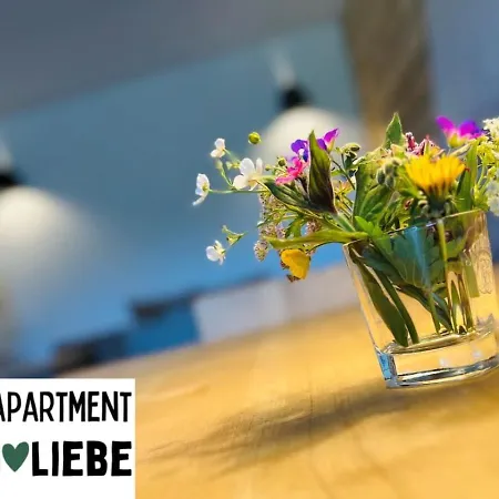 Apartment Feldbergliebe *