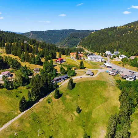 Feldbergliebe * Feldberg (Baden-Wurttemberg)